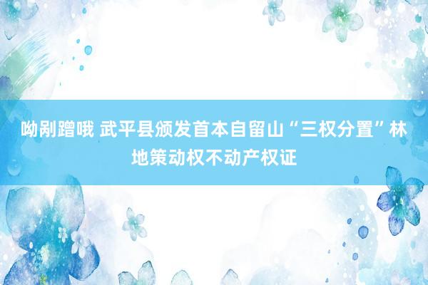 呦剐蹭哦 武平县颁发首本自留山“三权分置”林地策动权不动产权证