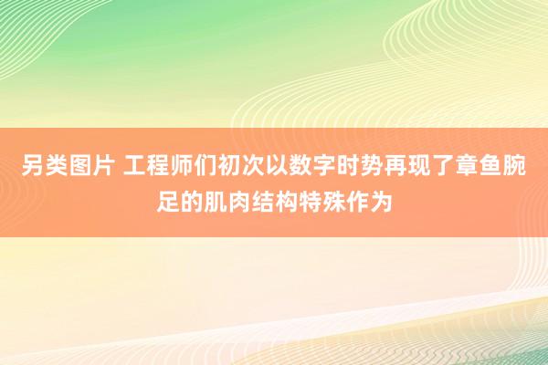 另类图片 工程师们初次以数字时势再现了章鱼腕足的肌肉结构特殊作为