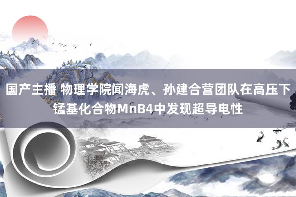 国产主播 物理学院闻海虎、孙建合营团队在高压下锰基化合物MnB4中发现超导电性