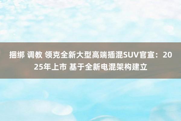 捆绑 调教 领克全新大型高端插混SUV官宣：2025年上市 基于全新电混架构建立