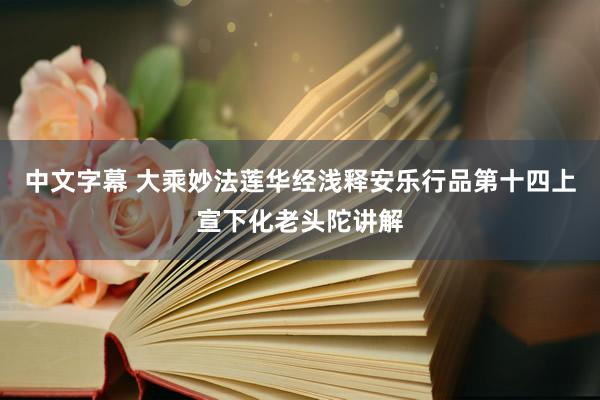 中文字幕 大乘妙法莲华经浅释　安乐行品第十四　上宣下化老头陀讲解