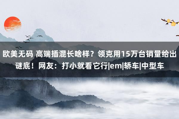 欧美无码 高端插混长啥样？领克用15万台销量给出谜底！网友：打小就看它行|em|轿车|中型车